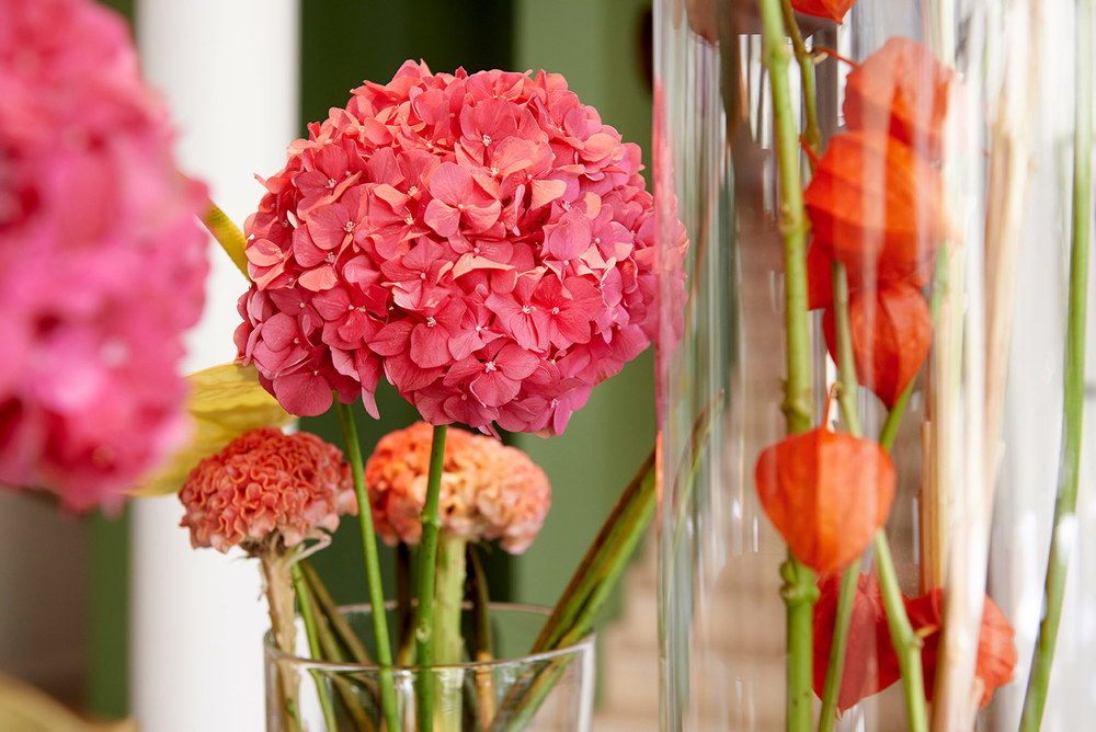 Nachhaltigkeit im Hotel Das Triest